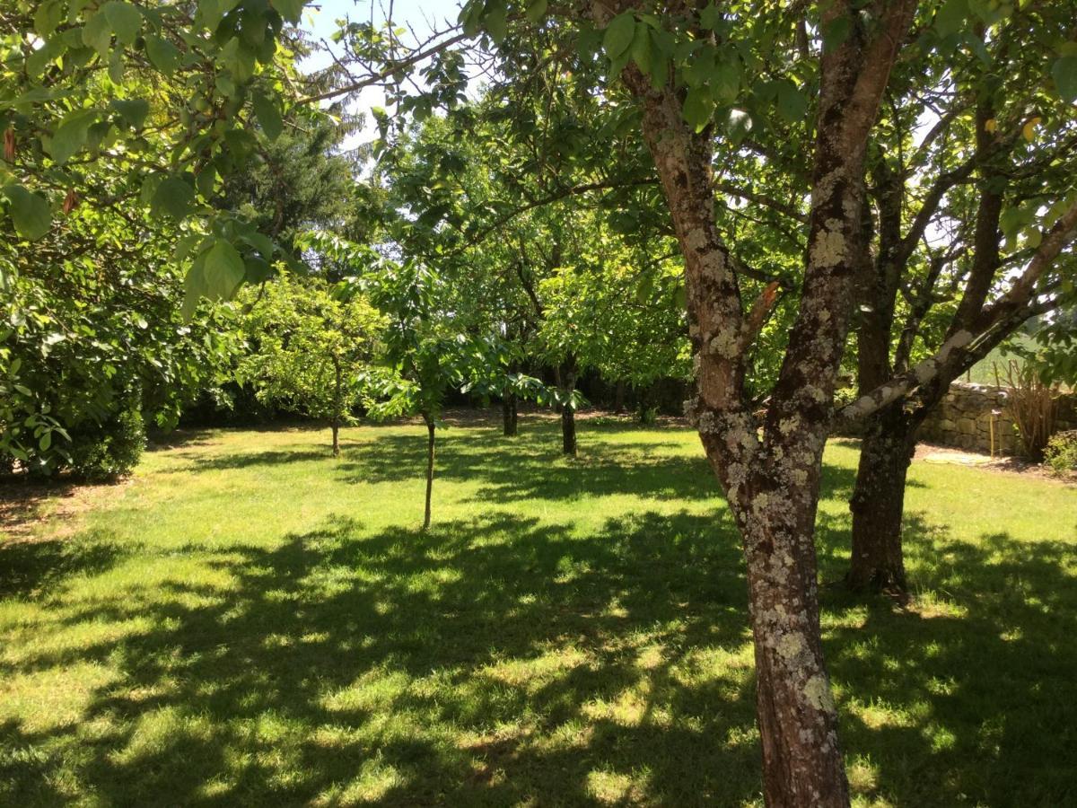 Les Noyers Aulnay Bed and Breakfast Aulnay  Εξωτερικό φωτογραφία